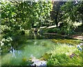 Veryan - Pond in Water Gardens