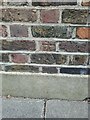 62 Downham Road Benchmark