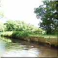 Monmouthshire and Brecon Canal