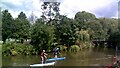 Paddleboarding on the River Medway at Tonbridge