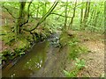 River Yarrow