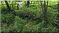 Charterhouse Packhorse Bridge