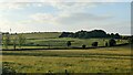 Roman settlement and Camp at Town Field