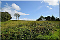 Knocknahorn Townland