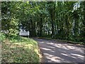 The road entering Stackpole village