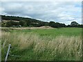 Earthworks south of Langley gatehouse