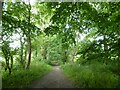 Path to Barrow Brook