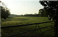 Field and trees near Park View Point