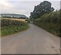 Minor road in the north of Llanvapley, Monmouthshire