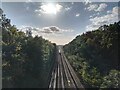 Train on Chatham Mainline