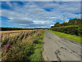 Back roads of Buchan