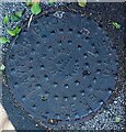 Cast iron drain cover