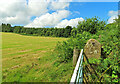 Fields and woodland