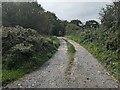 The lane to Cow-y-Jack