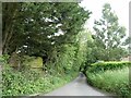 Minor road, Reepham Moor