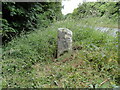 Old Milestone by the A44, Hill Wood, Glympton parish