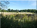 Fields off Keepers Lane