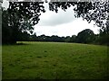 Fields off Dippons Lane