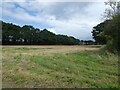 Fields off Westcroft Road