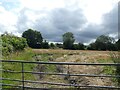 Fields off Westcroft Road