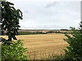 Stubble Field on the Outskirts of Grantham