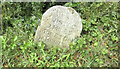 Old Milestone by the B3357, Lower Longford, Whitchurch parish