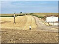 Cornfields at Park  House Farm