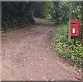 Queen Elizabeth II postbox on grass in rural Monmouthshire