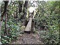 Footbridge crossing a stream below Bottom Dumbles