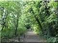 Path in Smestow Valley nature reserve