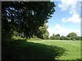 Field off Aldersley Road