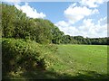 Field off Aldersley Road