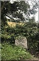 Modern parish boundary stone, Carn Brae