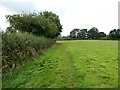 Field edge footpath