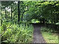 Path beside the Antonine Wall