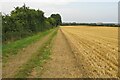 Bridleway to Duns Tew