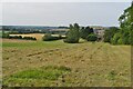 Hay field by Common Barn Farm