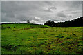 Dark skies, Ballygowan