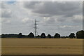 Rural pylon