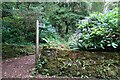 Bridleway in Lamorna