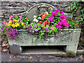 Drinking trough, Longhope, early autumn