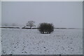 Snow covered field