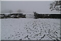 Footprints in the snow