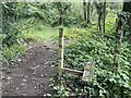 Footpath style in Loamhole Dingle