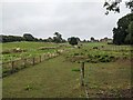 Field at Risbury