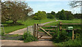 Track, Kingston Lacy Park