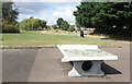 Table Tennis, Longacres Park