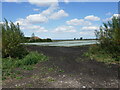 Plastic covered field and Samcuts House, Methwold Fens