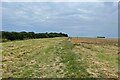 Milton Keynes Boundary Walk heading for Dollar