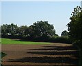 Field off Runcorn Road